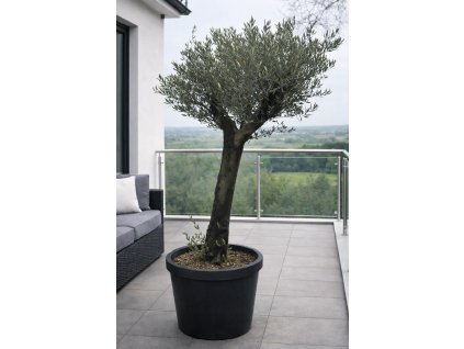 ChatGPT Image 27. 1. 2026, 12 10 32