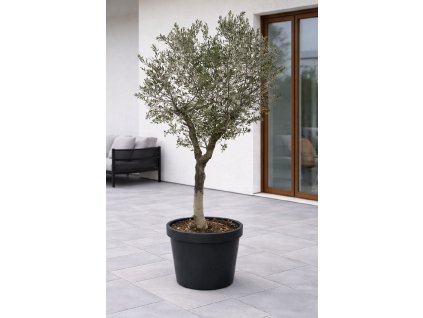 ChatGPT Image 27. 1. 2026, 13 23 30