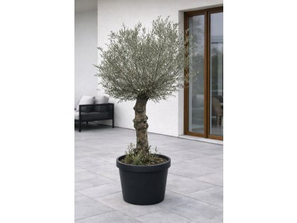 ChatGPT Image 27. 1. 2026, 13 26 07