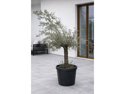 ChatGPT Image 27. 1. 2026, 13 32 26