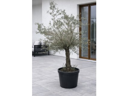 ChatGPT Image 27. 1. 2026, 13 34 14