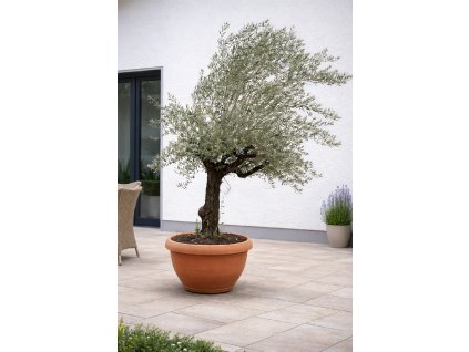 ChatGPT Image 29. 1. 2026, 11 44 25