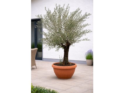 ChatGPT Image 29. 1. 2026, 11 46 25