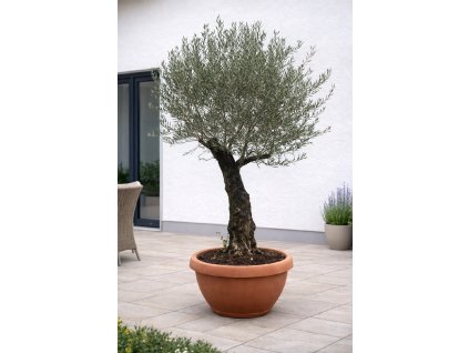 ChatGPT Image 29. 1. 2026, 11 52 41