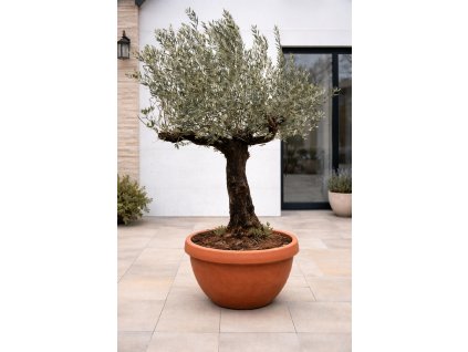 ChatGPT Image 29. 1. 2026, 12 48 52