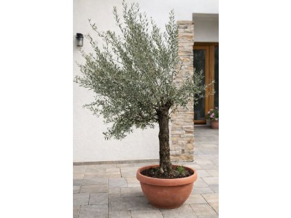 ChatGPT Image 2. 2. 2026, 14 12 39