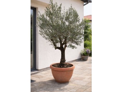 ChatGPT Image 2. 2. 2026, 14 23 57