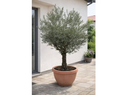 ChatGPT Image 2. 2. 2026, 14 26 57