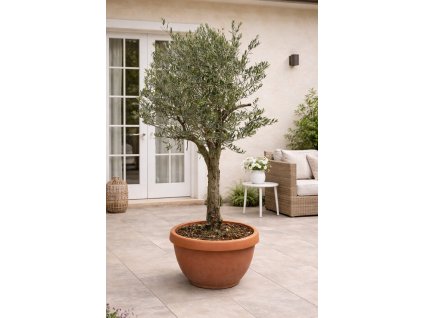 ChatGPT Image 2. 2. 2026, 14 33 47