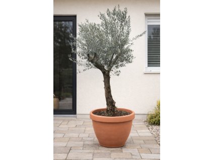 ChatGPT Image 2. 2. 2026, 14 38 15