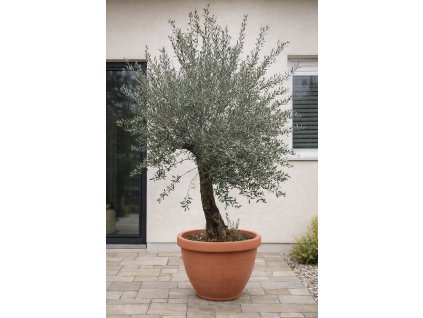 ChatGPT Image 2. 2. 2026, 14 40 24