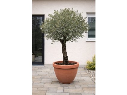 ChatGPT Image 2. 2. 2026, 14 46 06