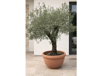 ChatGPT Image 2. 2. 2026, 14 48 16