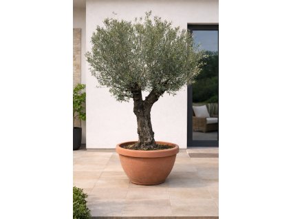 ChatGPT Image 2. 2. 2026, 14 51 26