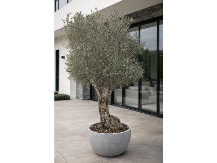 ChatGPT Image 2. 2. 2026, 14 58 27