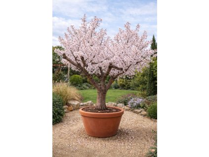 e9eb7c4e 7947 4939 bb13 410f0dc968a3