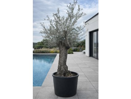 ChatGPT Image 8. 2. 2026, 13 27 23