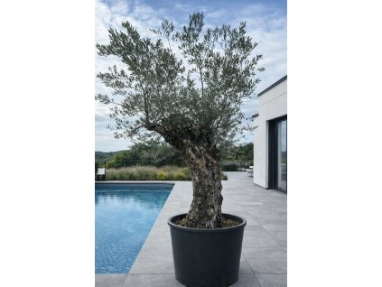 ChatGPT Image 8. 2. 2026, 13 29 02