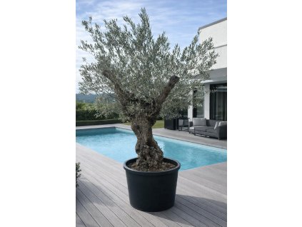 ChatGPT Image 8. 2. 2026, 13 48 22