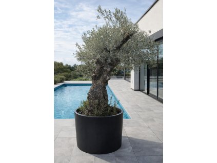 ChatGPT Image 8. 2. 2026, 14 00 35