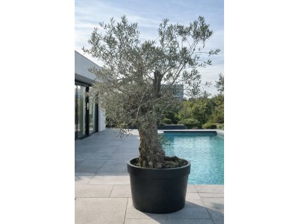 ChatGPT Image 8. 2. 2026, 14 04 41