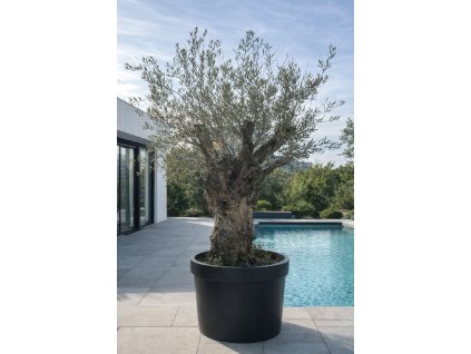 ChatGPT Image 9. 2. 2026, 11 31 28