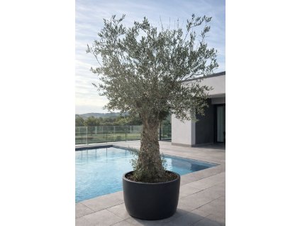 ChatGPT Image 9. 2. 2026, 11 35 30