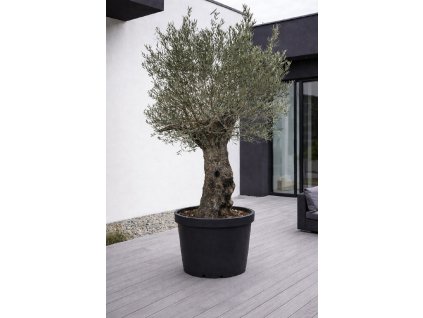 ChatGPT Image 9. 2. 2026, 11 48 50