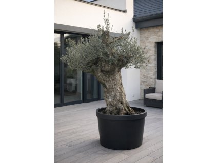 ChatGPT Image 9. 2. 2026, 11 57 00