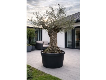 ChatGPT Image 9. 2. 2026, 11 58 42