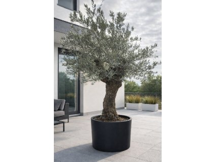 ChatGPT Image 9. 2. 2026, 12 03 31