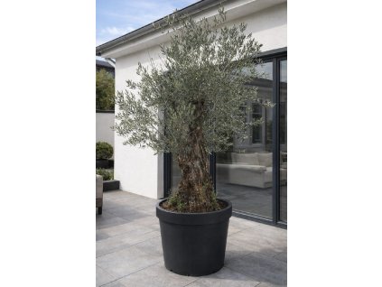 ChatGPT Image 9. 2. 2026, 12 08 07