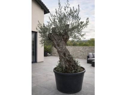 ChatGPT Image 9. 2. 2026, 12 13 11