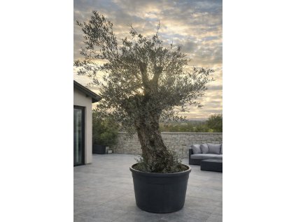 ChatGPT Image 9. 2. 2026, 12 14 58