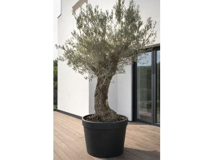 ChatGPT Image 9. 2. 2026, 12 48 19