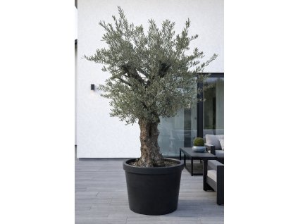 ChatGPT Image 9. 2. 2026, 13 05 39