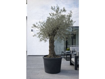 ChatGPT Image 9. 2. 2026, 13 19 17