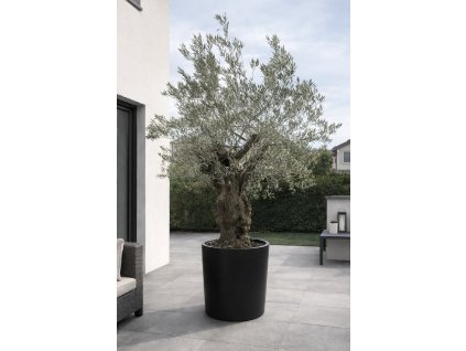 ChatGPT Image 9. 2. 2026, 13 41 22