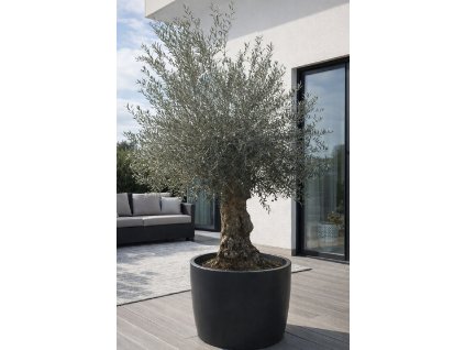 ChatGPT Image 9. 2. 2026, 13 43 27