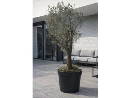 ChatGPT Image 9. 2. 2026, 13 45 56