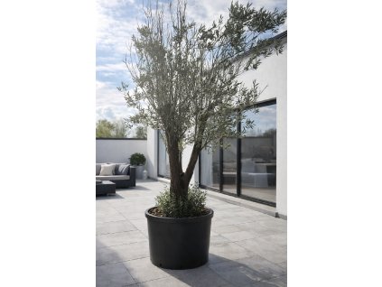 ChatGPT Image 9. 2. 2026, 13 48 25