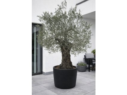 ChatGPT Image 9. 2. 2026, 13 50 40