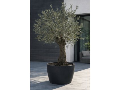 ChatGPT Image 9. 2. 2026, 13 54 40