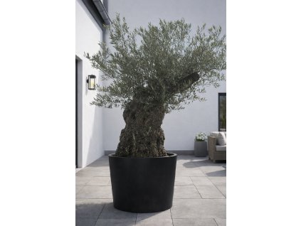 ChatGPT Image 9. 2. 2026, 13 56 24