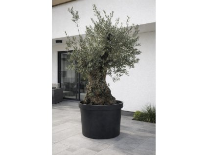 ChatGPT Image 9. 2. 2026, 14 07 35