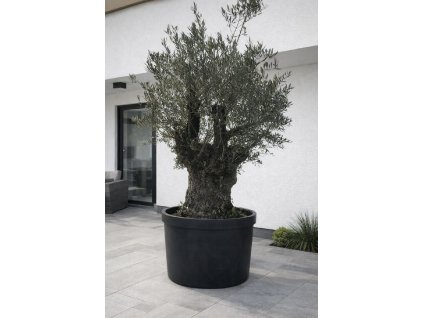 ChatGPT Image 9. 2. 2026, 14 10 08