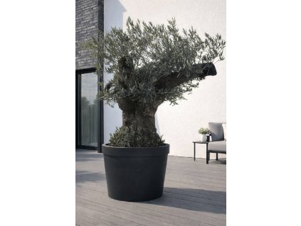 ChatGPT Image 9. 2. 2026, 14 29 08