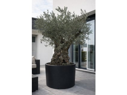 ChatGPT Image 13. 2. 2026, 15 14 35