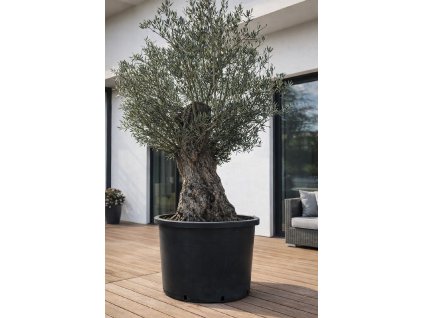 ChatGPT Image 13. 2. 2026, 15 18 38