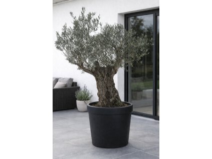 ChatGPT Image 13. 2. 2026, 15 28 31